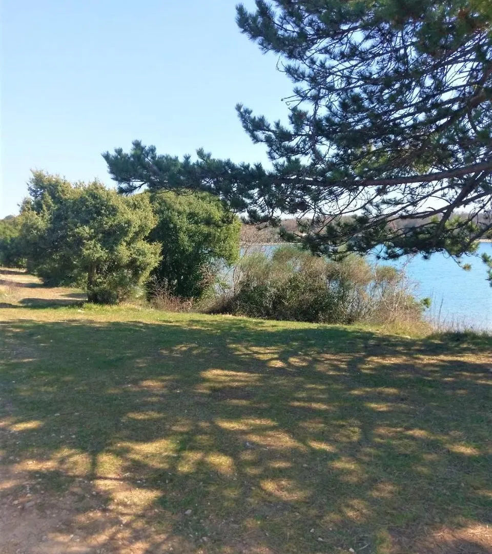 Holiday home Casa Olea Villa Tar-Vabriga Croatia