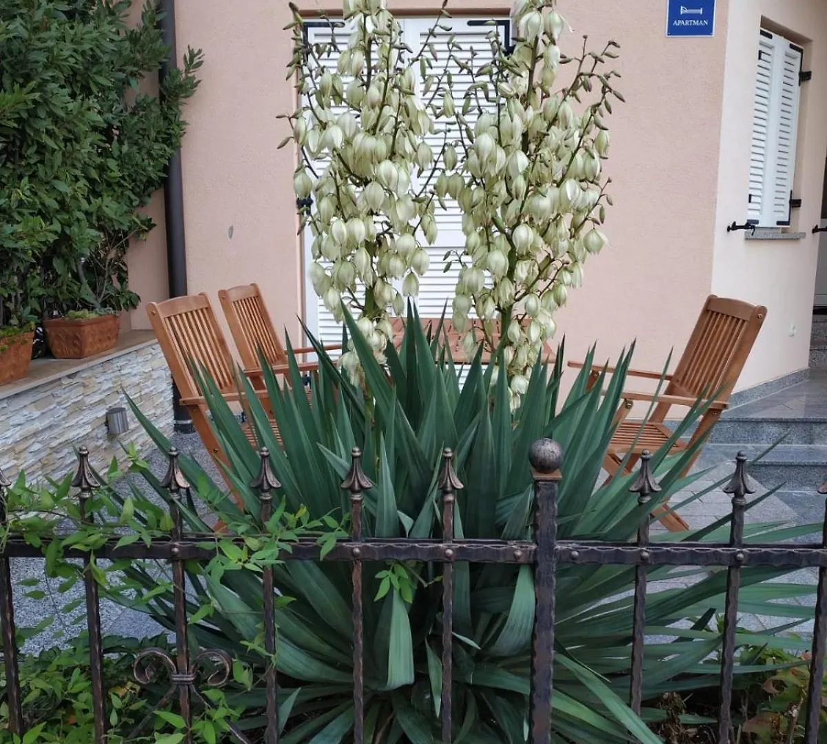 Casa Olea Villa Tar-Vabriga Croatia